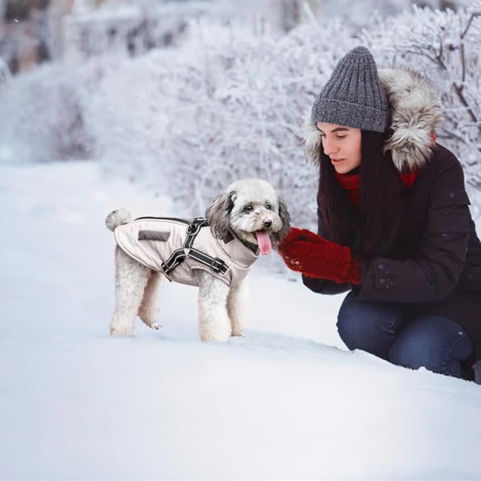 1x Warm Soft Winter Dog Vest with Stand Collar, Wind and Waterproof, Multiple Colors, S M L XL, Beige