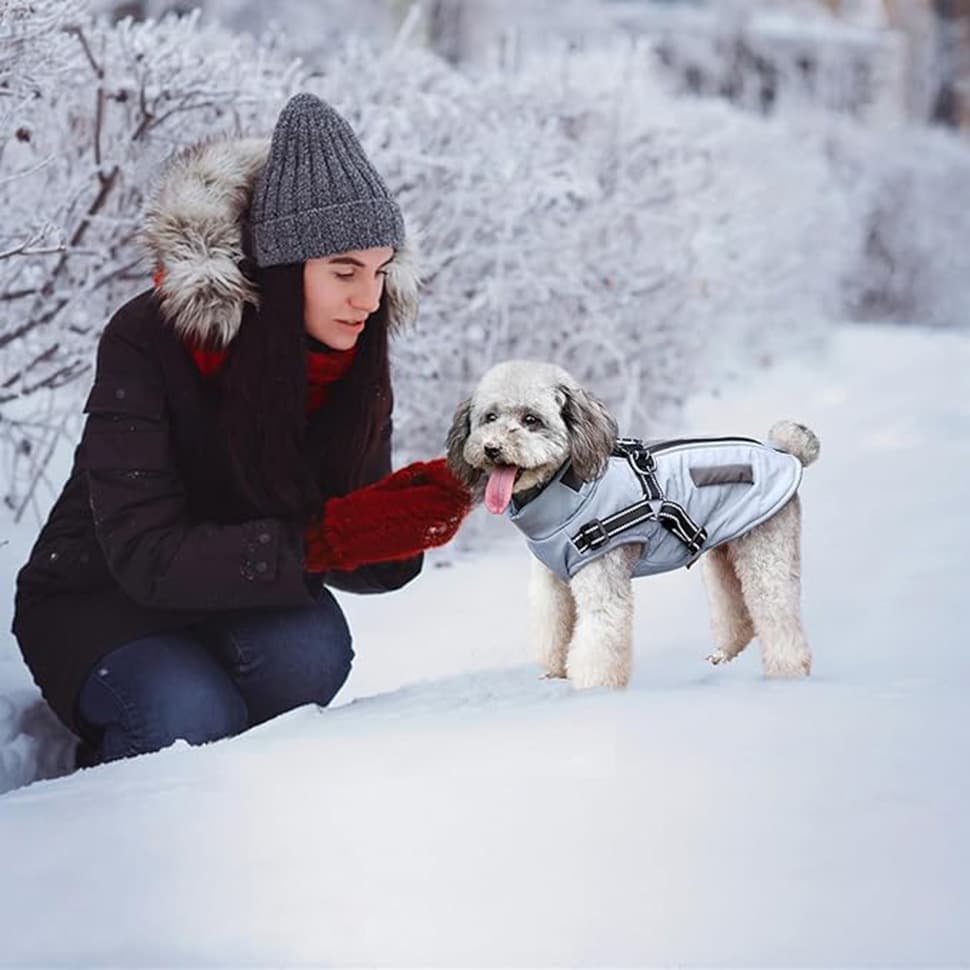 Warm Soft Winter Dog Vest with Stand Collar, Wind and Waterproof, Blue, S M L XL