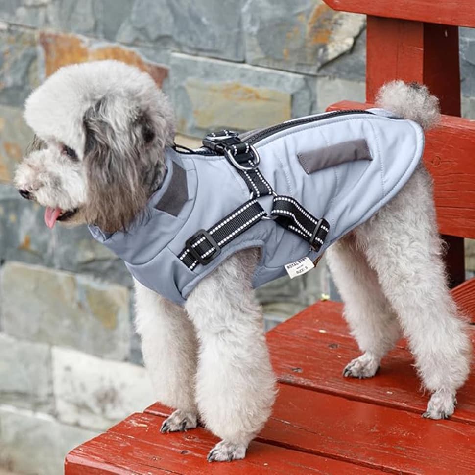 Warm Soft Winter Dog Vest with Stand Collar, Wind and Waterproof, Blue, S M L XL
