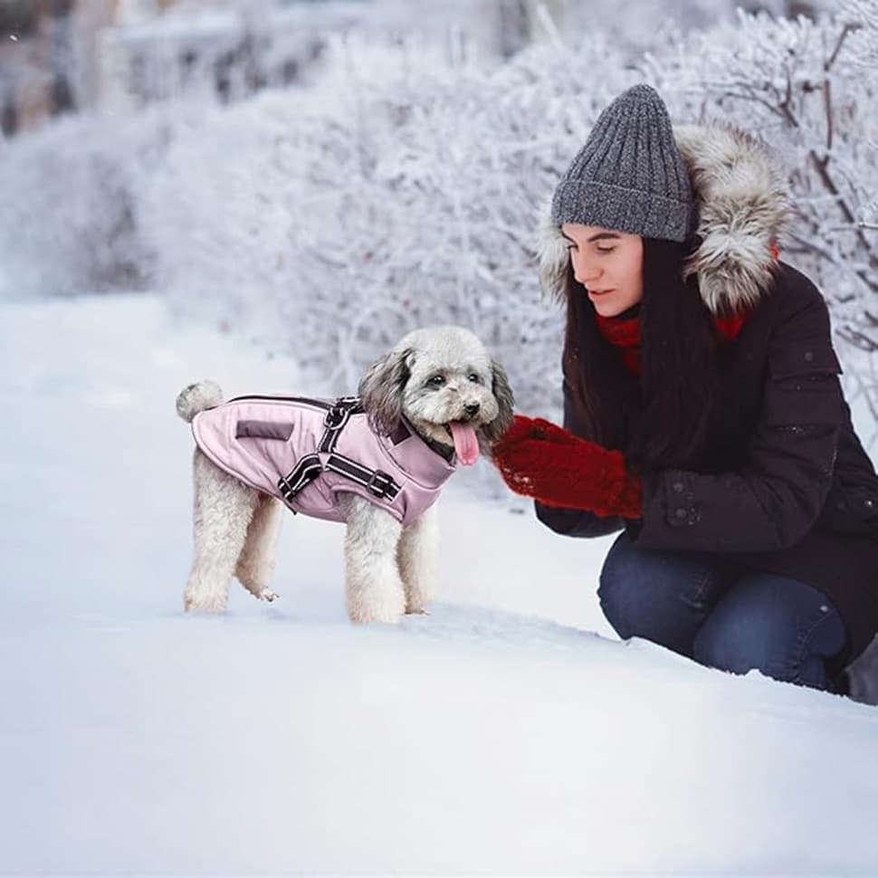 Warm Soft Winter Dog Vest with Stand Collar, Wind and Waterproof, Multiple Colors, Pink, S to XL