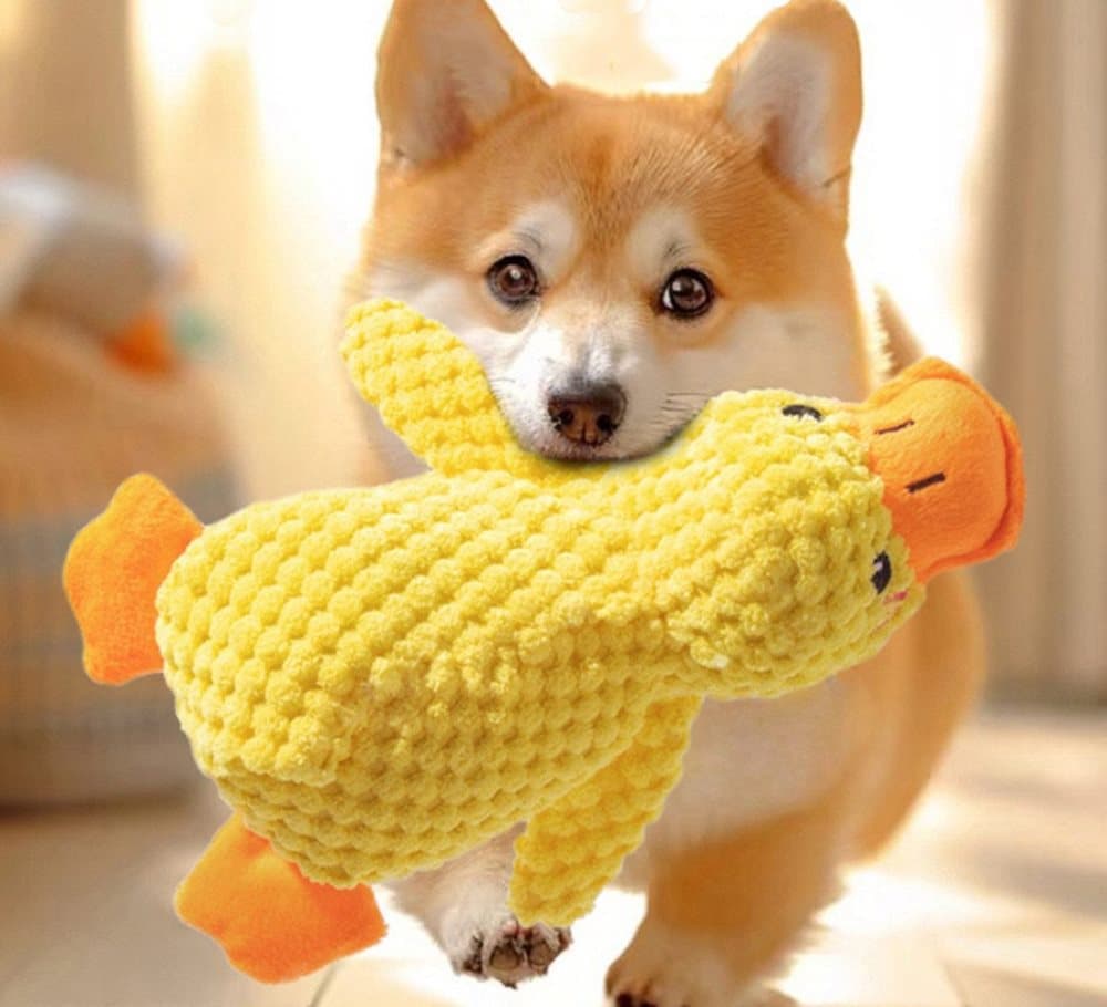 1 Calming Dog Toy Plush Duck with Squeak for Small Dogs, S