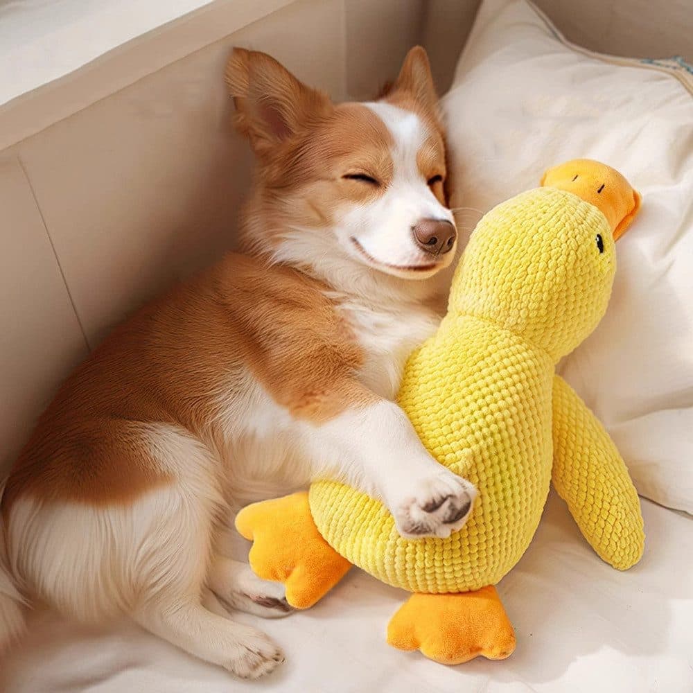 1 Calming Plush Duck Dog Toy with Squeaker for Small Dogs, M