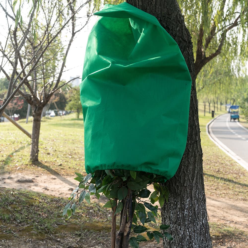 3-Pack Winter Plant Protection Frost Cover with Drawstring, Reusable Durable for Outdoor Plants Fruit Trees Potted Plants, 100x150cm, Green