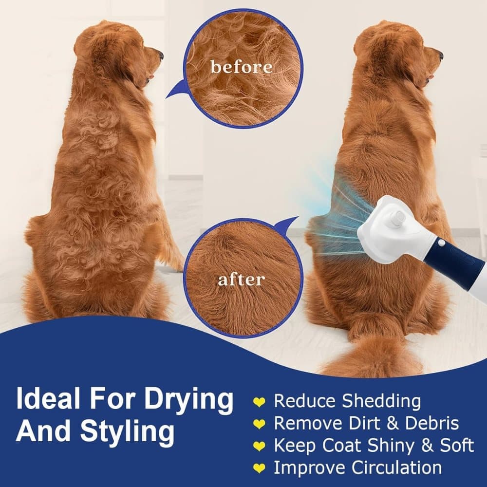 Pet Hair Dryer 3-in-1 with Brush, 3 Heat Settings Overheat Protection, Portable Quiet for Dogs Cats, Compatible with Oral-B, Gray, 220V