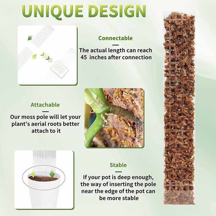 6 pcs Climbing Plant Moss Stakes with Garden Ties, Plastic, 10 Pack