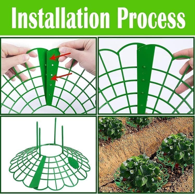10-Pack Strawberry Holder Plant Support for Strawberries and Vegetables, 10.2 Inches