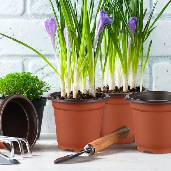 100pcs Reusable Plastic Planting Pots for Indoor and Outdoor Flower Growing, 110mm
