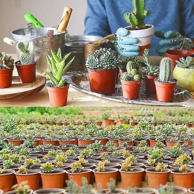 100pcs Reusable Plastic Planting Pots for Indoor and Outdoor Flower Growing, 110mm