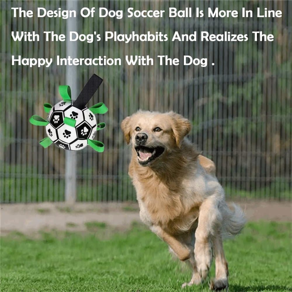 Durable Interactive Dog Ball with Air Needle, 15cm