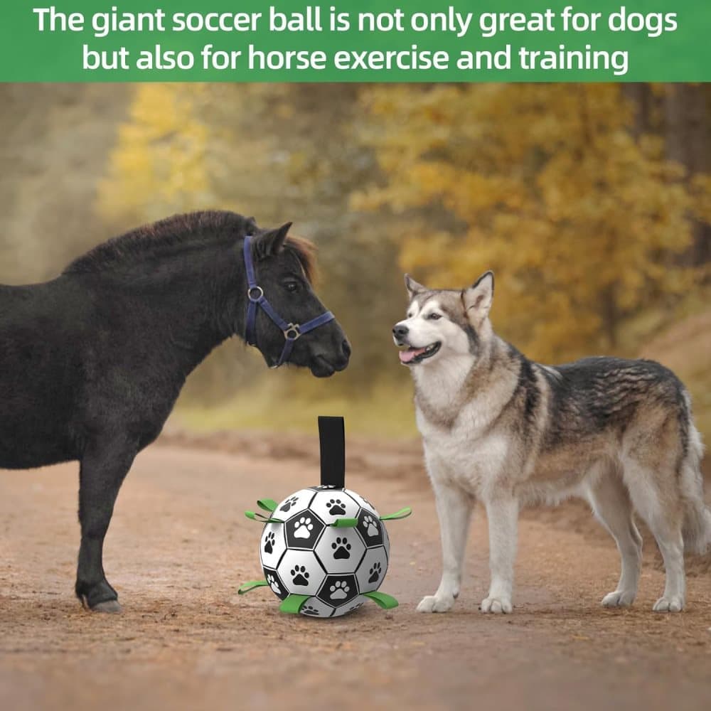 Durable Interactive Dog Ball with Air Needle, 15cm