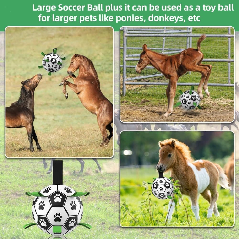 Durable Interactive Dog Ball with Air Needle, 15cm