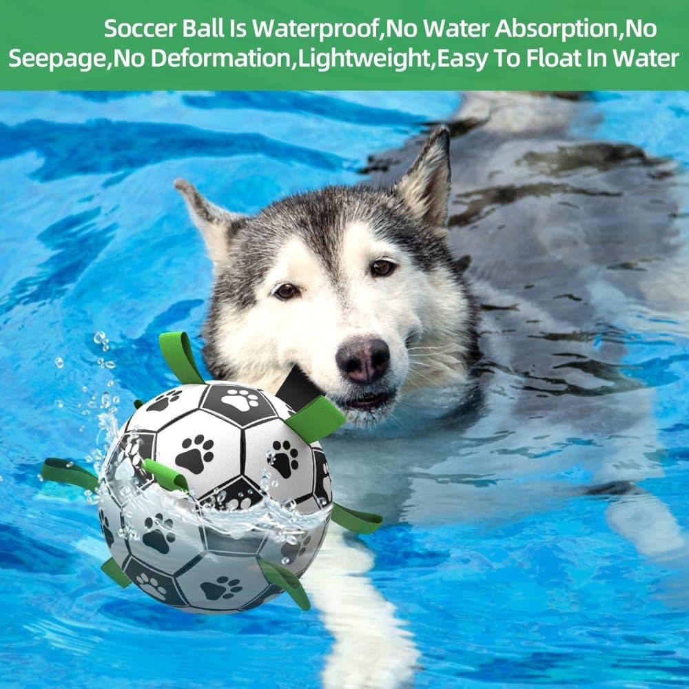 Durable Interactive Dog Ball with Air Needle, 15cm