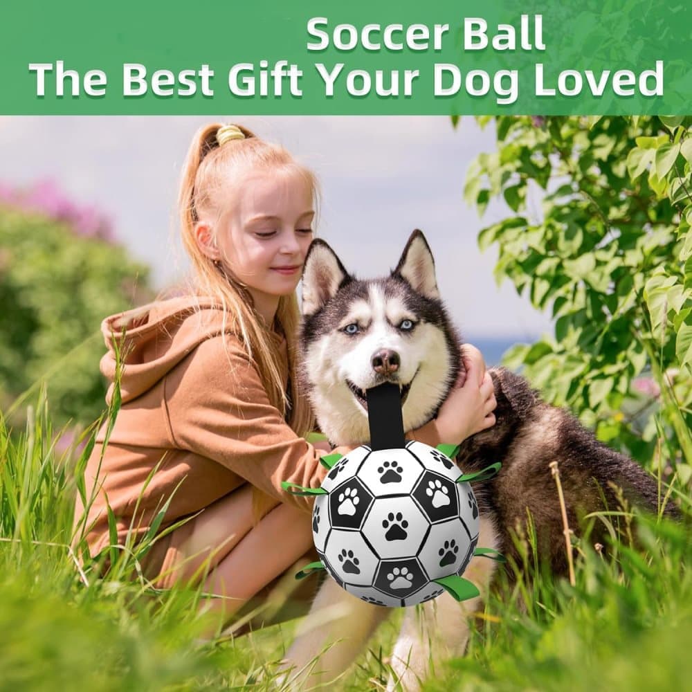 Durable Interactive Dog Ball with Air Needle, 15cm