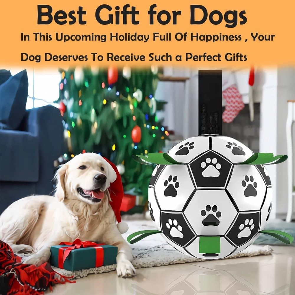 Durable Interactive Dog Ball with Air Needle, 15cm