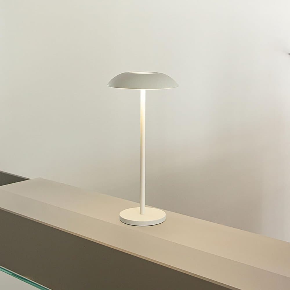 Rechargeable Wireless LED Table Lamp with Adjustable Brightness, 2600mAh Battery, Portable Bedside Lamp, Black