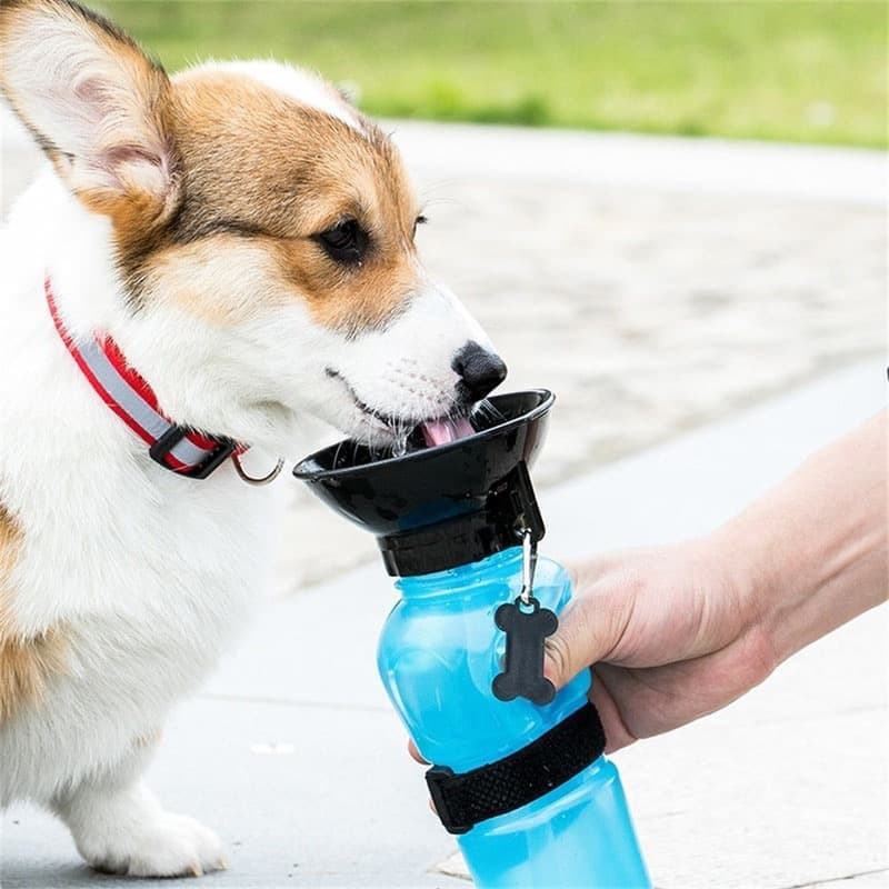 Dog Water Bottle with Bowl, Portable Pet Water Dispenser, Compatible with All Breeds, Pink