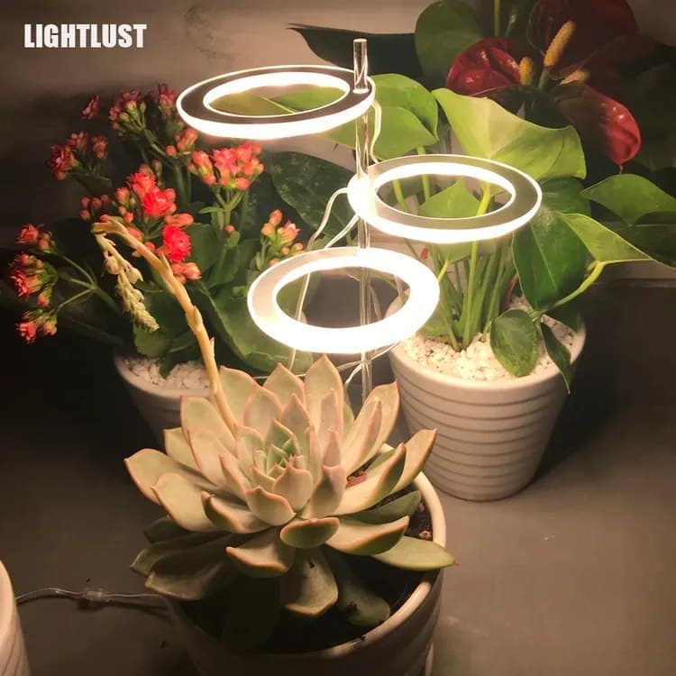 2 pcs LED Grow Light 4000K Full Spectrum with Timer, Adjustable USB Plant Lighting for Small Plants, Beige