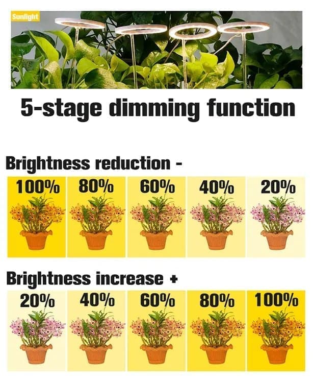 2 pcs LED Grow Light 4000K Full Spectrum with Timer, Adjustable USB Plant Lighting for Small Plants, Beige
