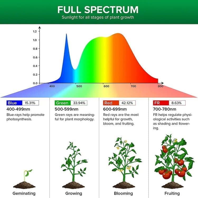 2 pcs LED Grow Light 4000K Full Spectrum with Timer, Adjustable USB Plant Lighting for Small Plants, Beige
