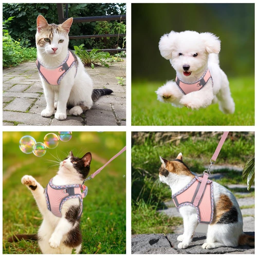 Adjustable Pet Harness with Reflector and Leash for Cats and Dogs, Soft Comfortable Vest Anti-Escape, XXS
