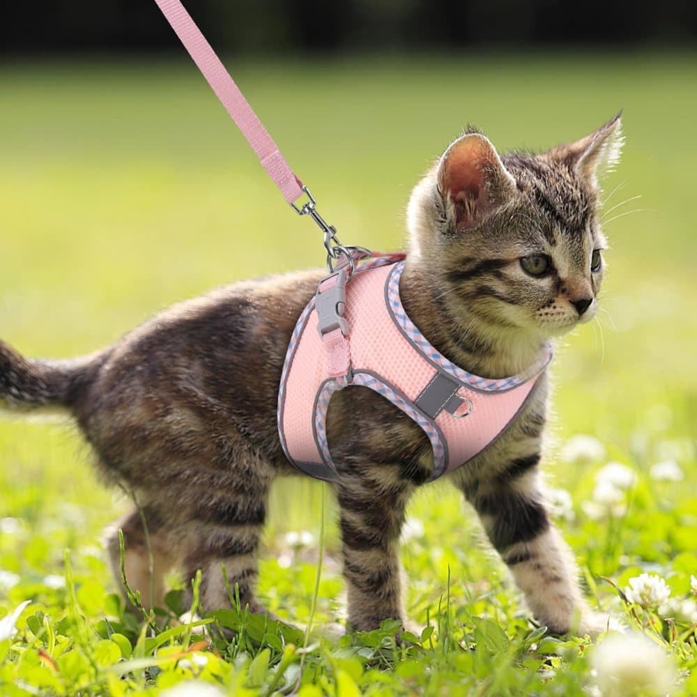 Adjustable Pet Harness with Reflector and Leash for Cats and Dogs, Soft Comfortable Vest Anti-Escape, XXS