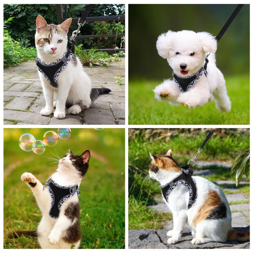 Adjustable Pet Harness with Reflector for Cat and Dog, Soft Comfortable Vest Design Anti-Escape Function with Leash, XXS, Black