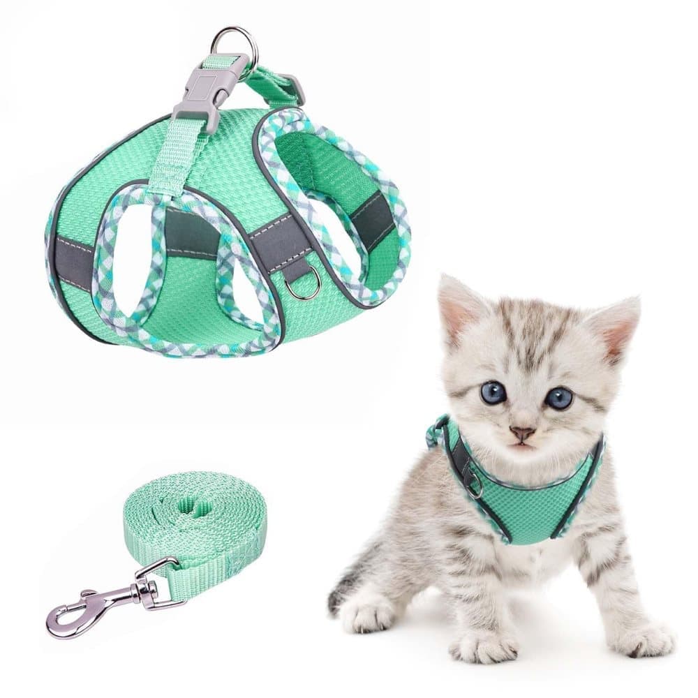 Adjustable Pet Harness with Reflector and Leash for Cats and Dogs, Soft Comfortable Vest Design Anti-Escape, XXS, Green