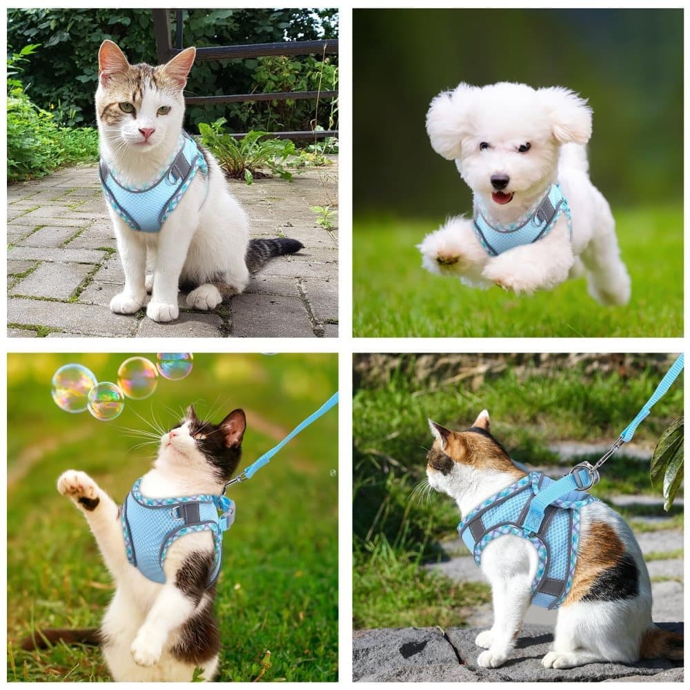 1 Adjustable Pet Harness with Reflector and Leash for Cat and Dogs, Soft Comfortable Vest Design Anti-Escape, L Light Blue