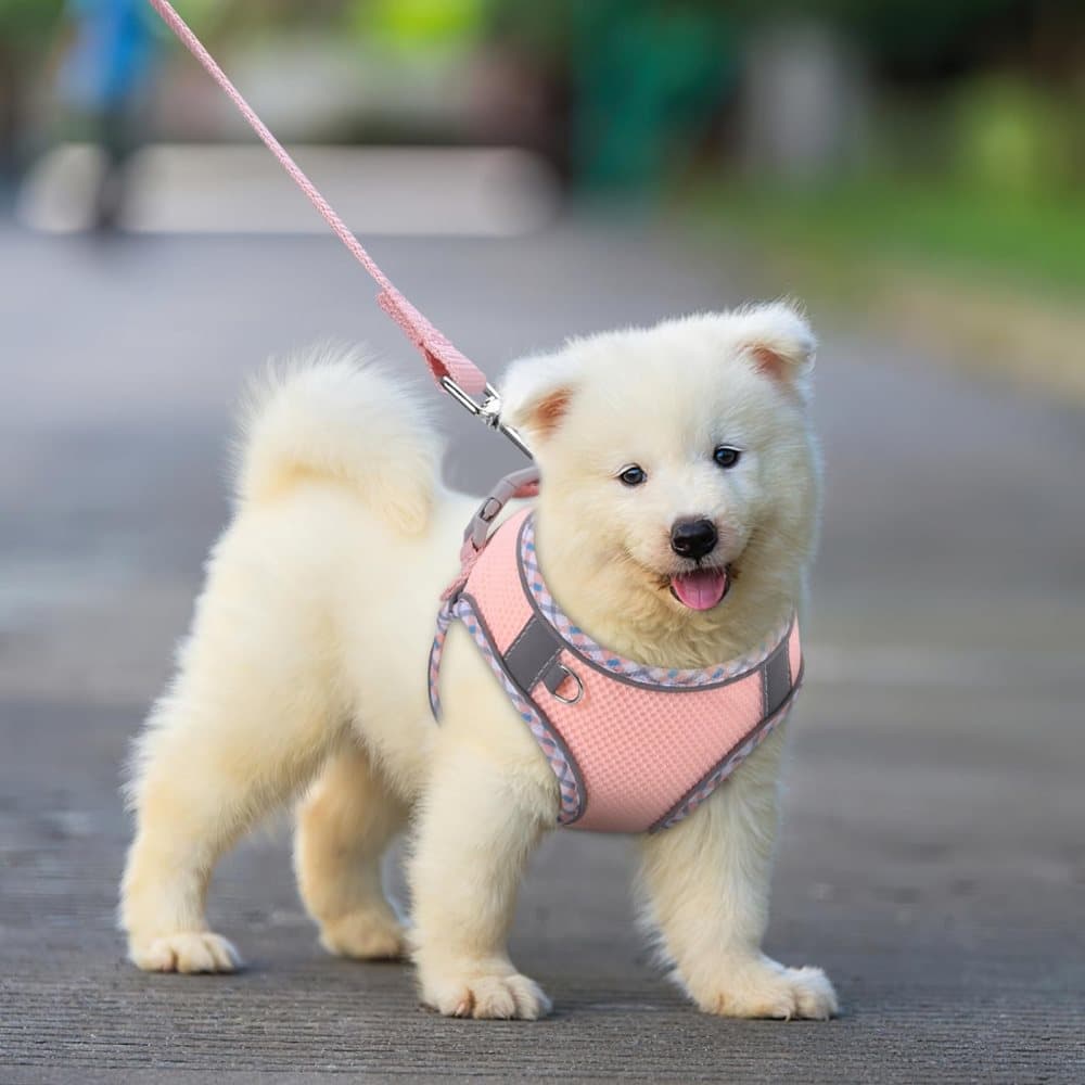 Adjustable Pet Harness with Reflector and Leash for Cats and Dogs, Soft Comfortable Vest Design Anti-Escape, Compatible with Small Medium Large Breeds, L, Pink