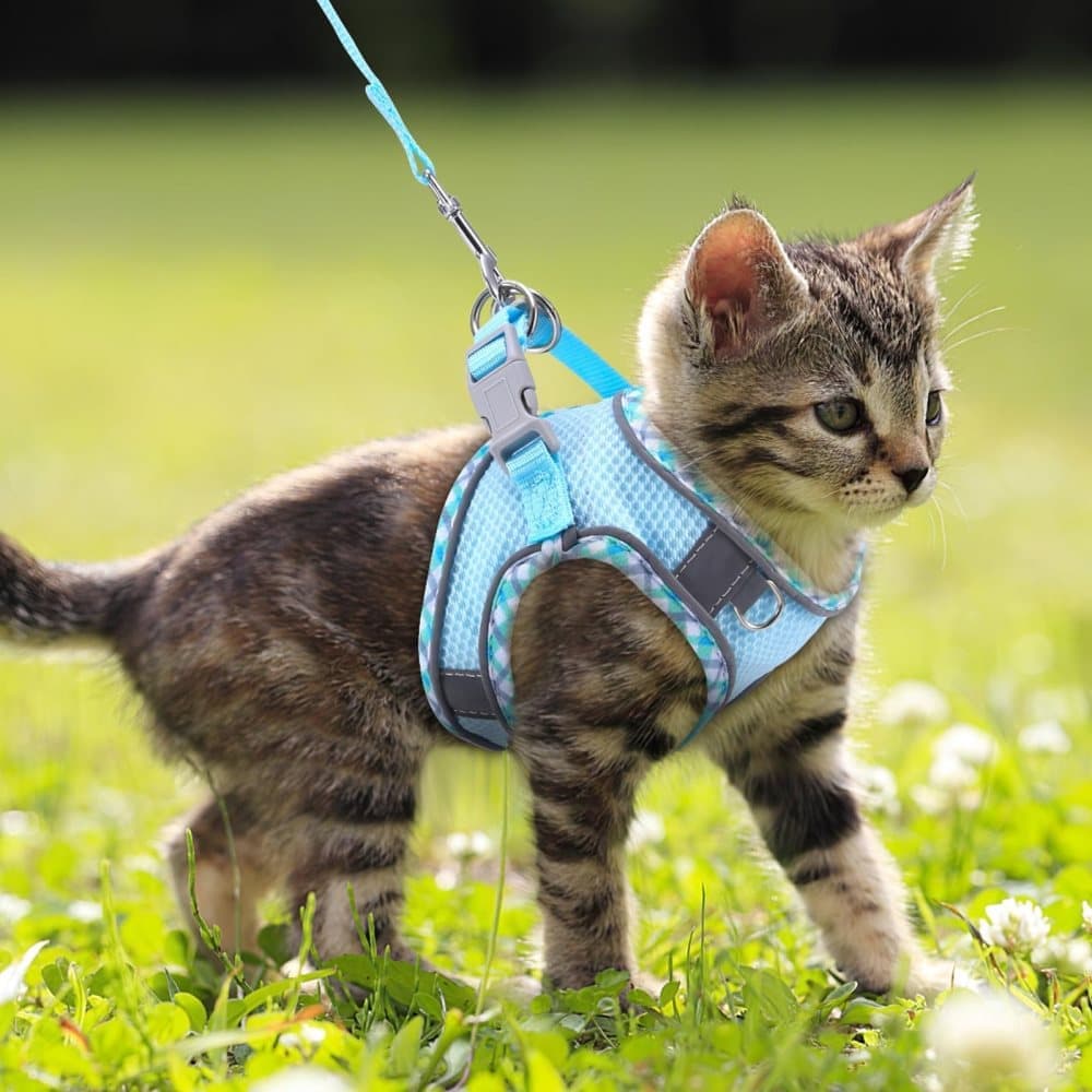 Adjustable Pet Harness with Reflector and Leash for Cat and Dog, Soft Comfortable Vest Design Anti-Escape, XS, Light Blue