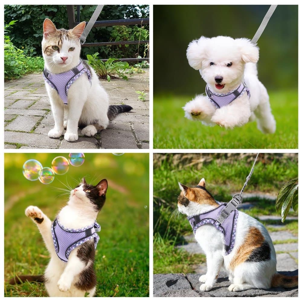 1 Adjustable Pet Harness with Reflector and Leash for Cat and Dog, Soft Comfortable Vest Design Anti-Escape, XS Purple