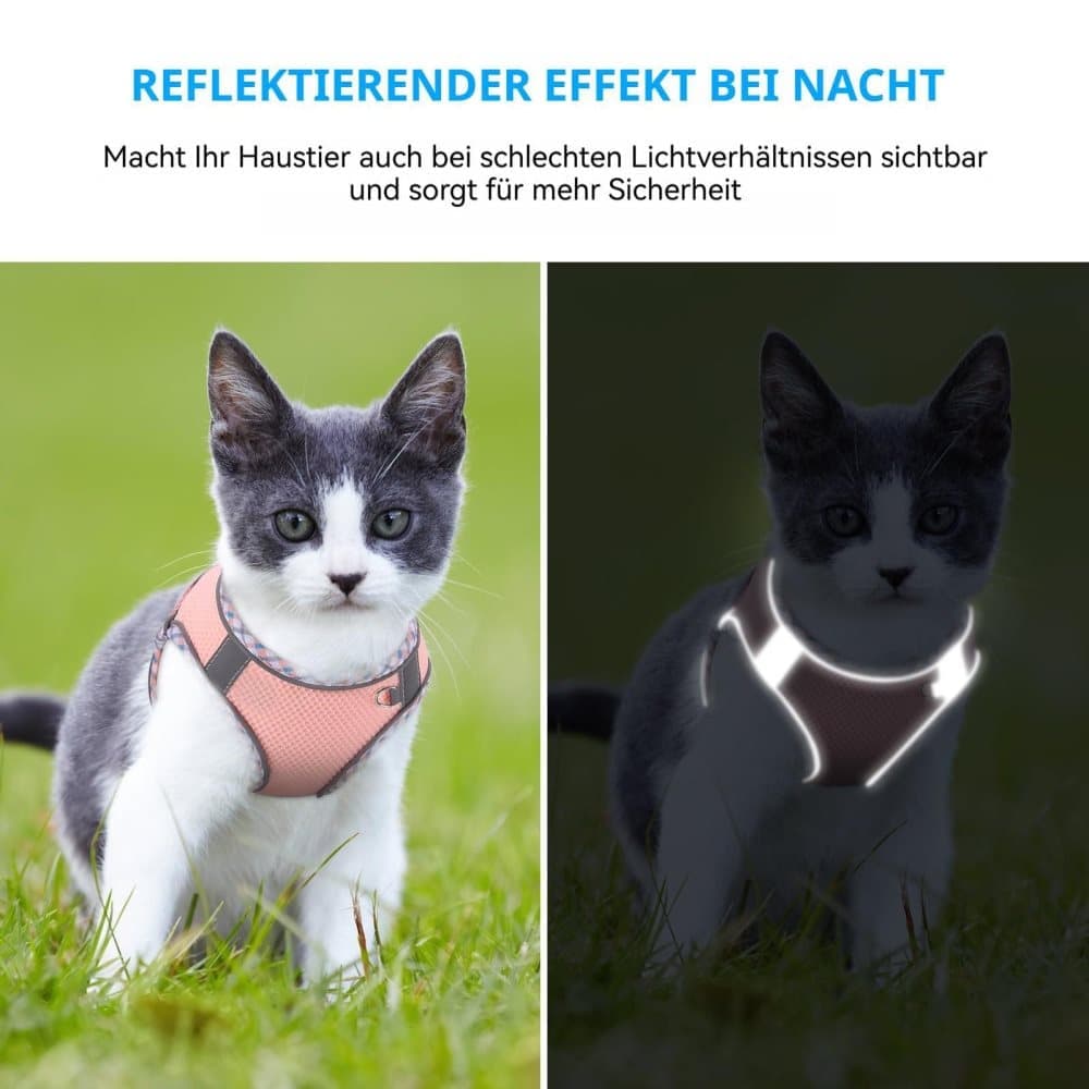 1 Adjustable Pet Harness with Reflector and Leash for Cat and Dog, Soft Comfortable Vest Design Anti-Escape, XS, Green