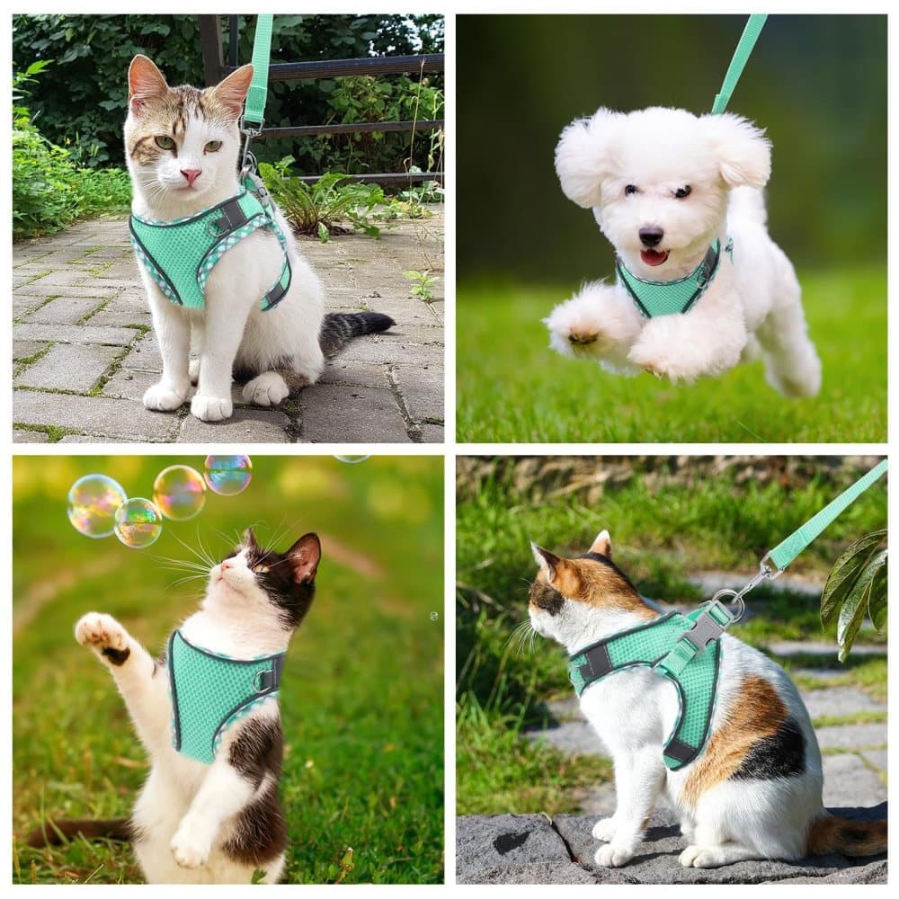 1 Adjustable Pet Harness with Reflector and Leash for Cat and Dog, Soft Comfortable Vest Design Anti-Escape, XS, Green