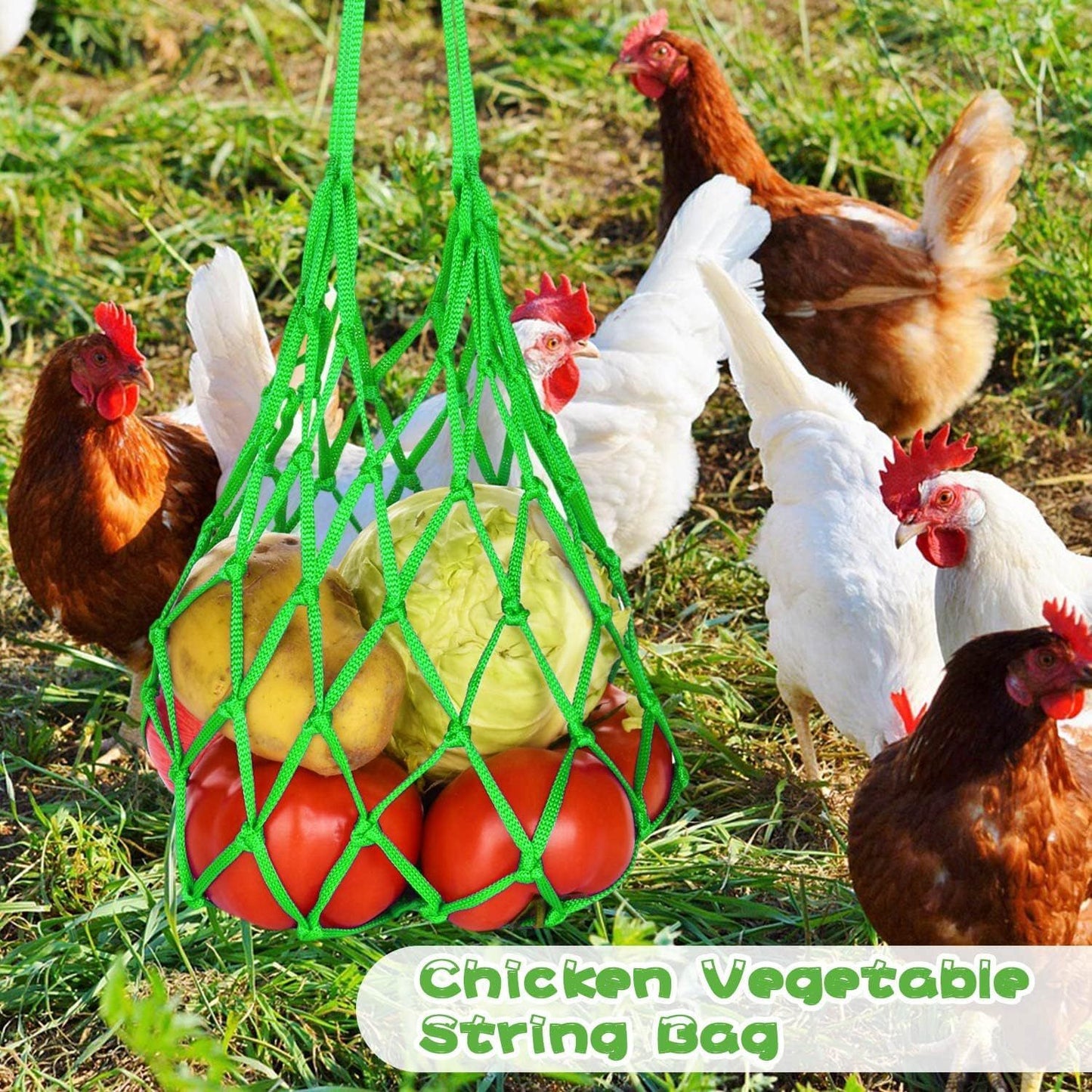 Hanging Feeding Net Bag (Nylon) Size: 570mm Color: Green for Parrots (2pc)