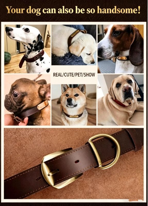 Premium Genuine Leather Dog Collar/Durable Real Leather Adjustable Collars For Male Female(S,Dark brown)