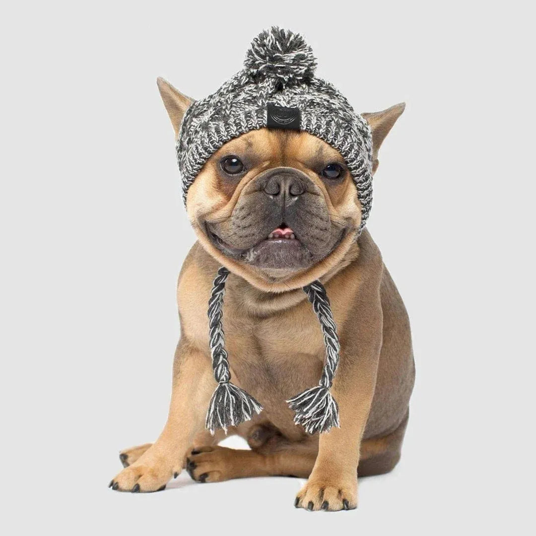 Dog Hat Knitted Windproof Winter Pom Hat, Black, L