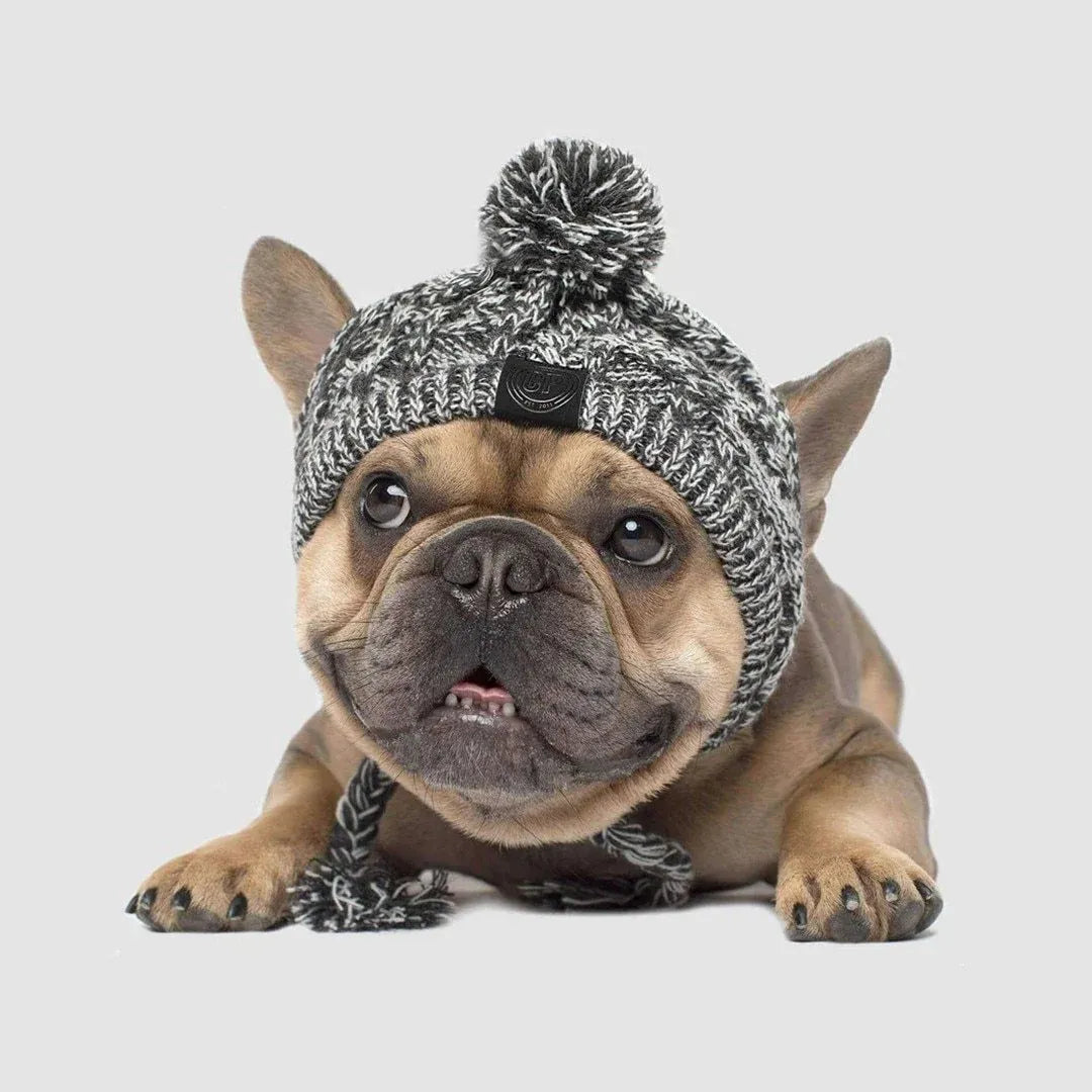 Dog Hat Knitted Windproof Winter Pom Hat, Black, L