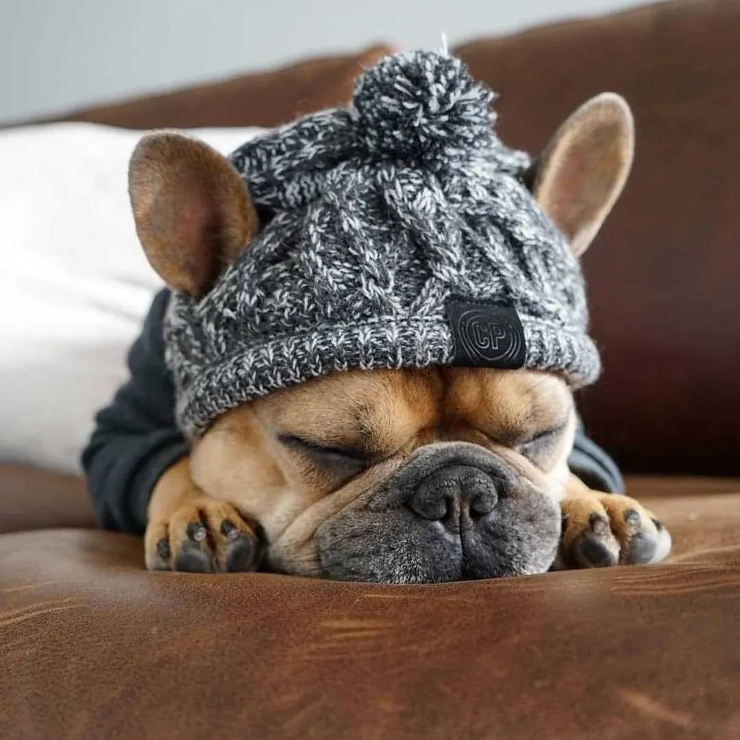 Dog Hat Knitted Windproof Winter Pom Hat, Black, S