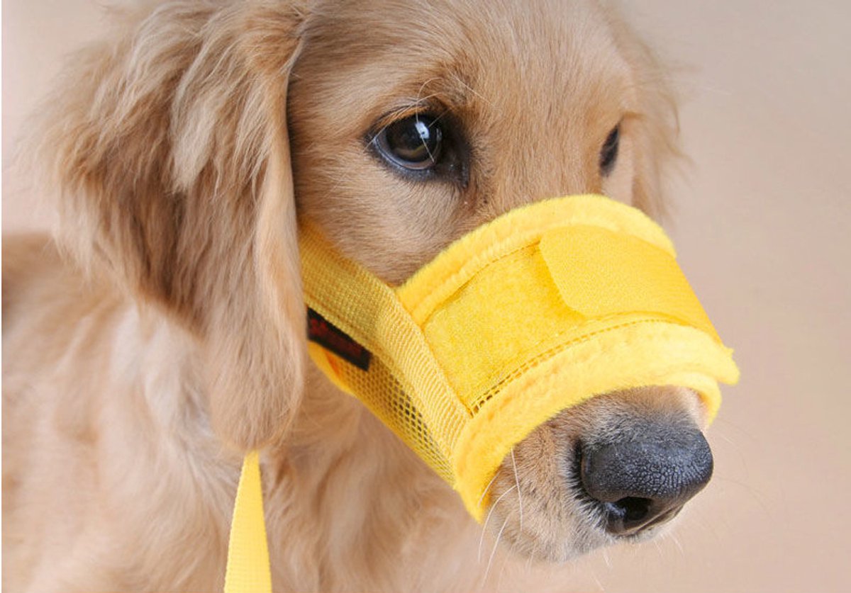 Muzzle for dogs - Soft, breathable - Small dogs, size S yellow