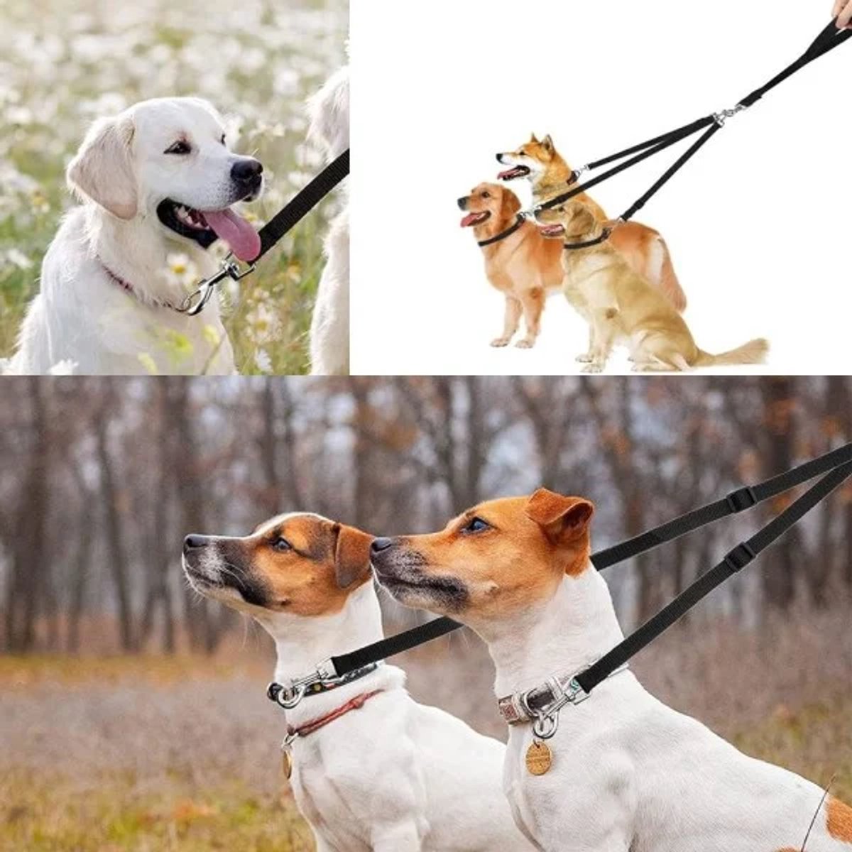 3-in-1 Dog Leash – Adjustable, detachable, for medium-sized dogs