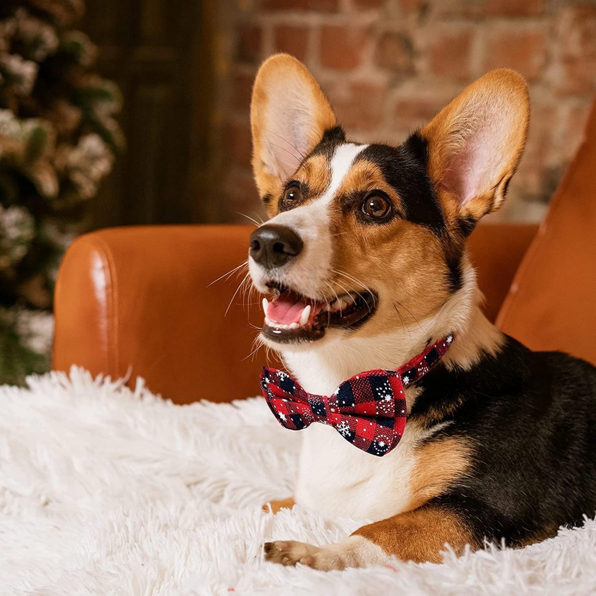 Christmas Dog Bow Tie - Festive Dog Bow Tie - Collar with Bow - Dog Collar - Red - Checkered Bowtie - Adjustable Neckline - Dog Accessories - Dog Clothing - Dogwear - Christmas - Gift - Size L