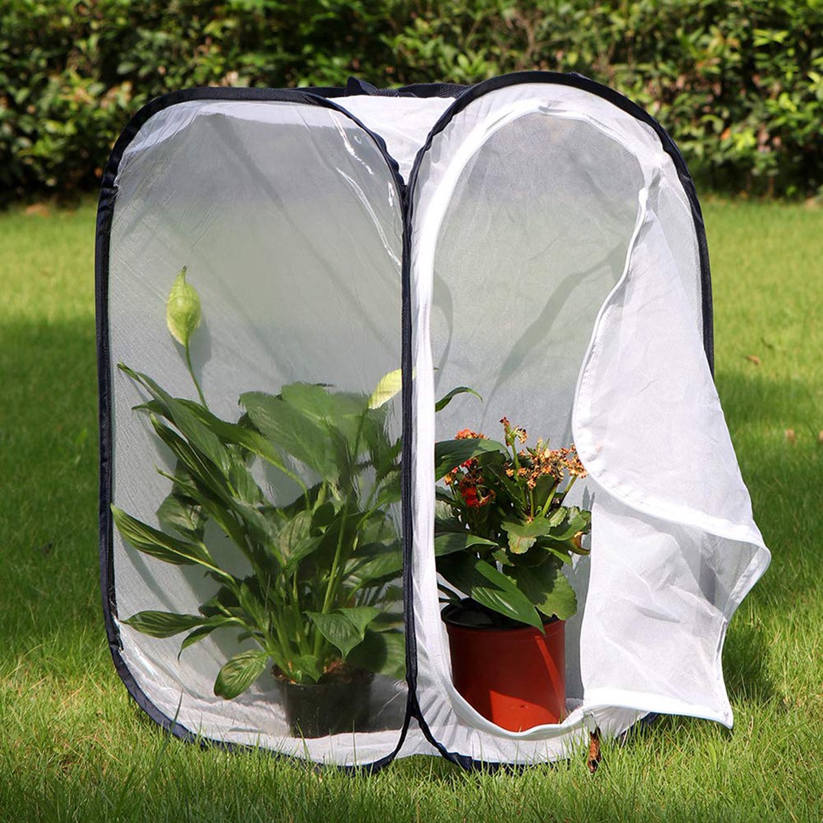 Insect Net - Insect and Butterfly Habitat Cage - Insect Breeding Net - Insect Hotel - Large Portable - Insect Monarch Butterfly - Pop-Up Cage - Garden Toy - Discover Butterflies and Ladybugs for Children - 60cm High