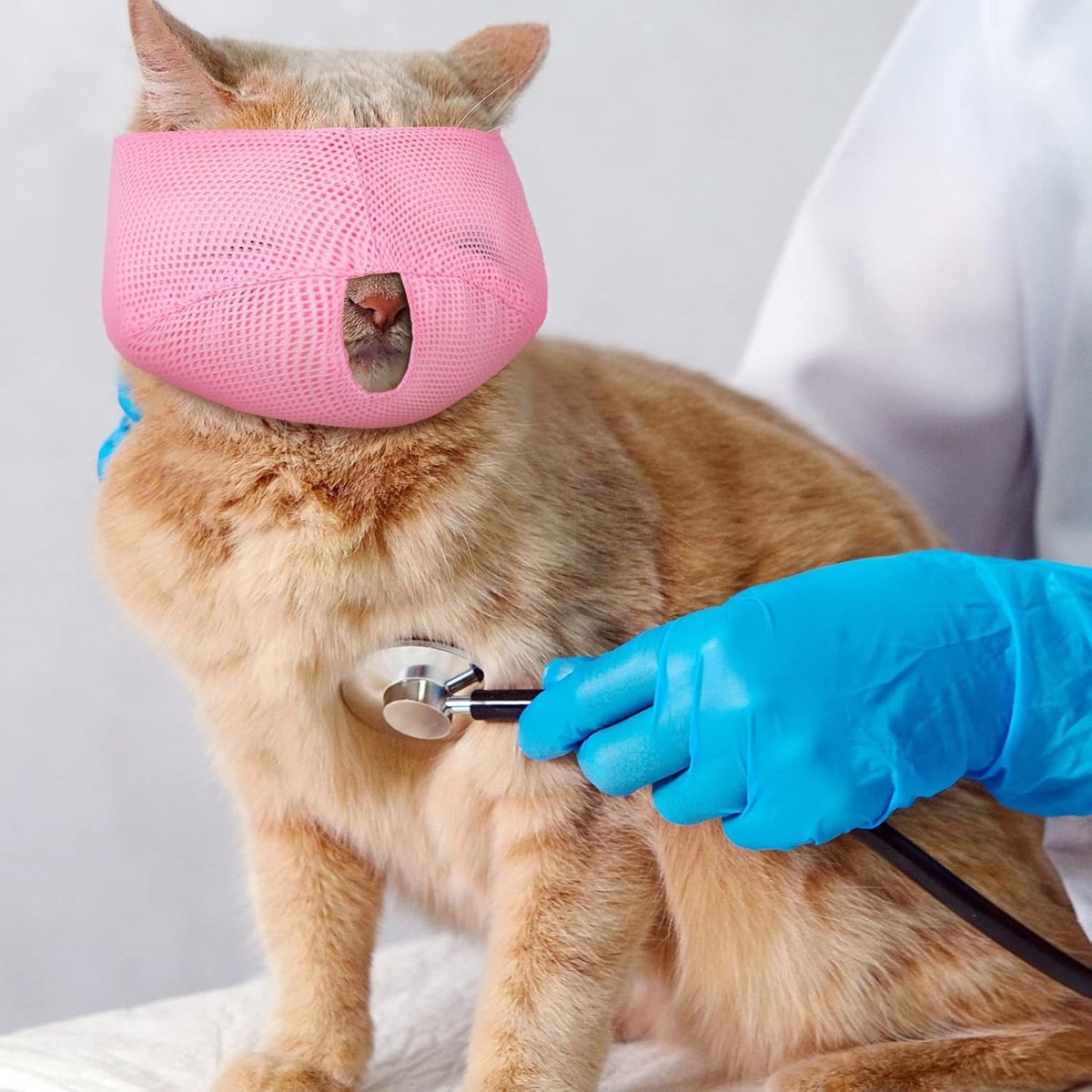 6 Pieces - Breathable Cat Muzzle Size L - Cat Muzzles - Muzzles for Cats and Kittens - Neck Circumference: 18-26 Cm - For Travel, Vet Visits and Bathrooms - Nylon - Eye Mask for Pet Grooming - Cat Muzzle - Breathable - Comfortable