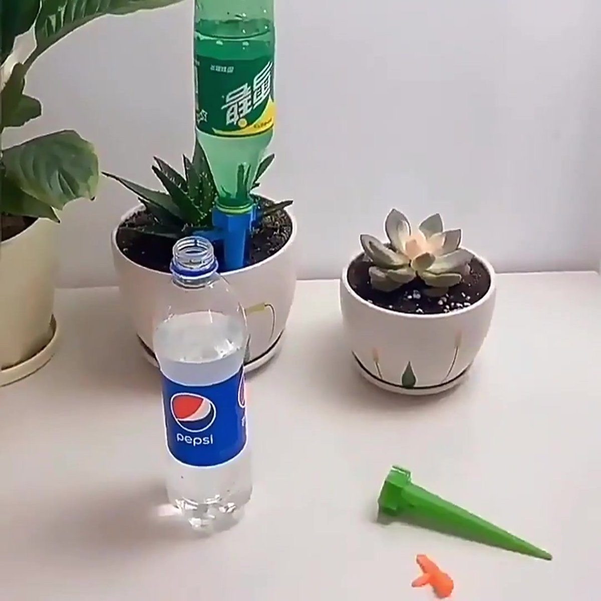 40x Water Dripper - Plant Watering System - Drip System - Watering System - Watering System - Water Ball - Watering System - Plant Ball - Automatic Watering Can - Drip System - Watering System - Blue / Green
