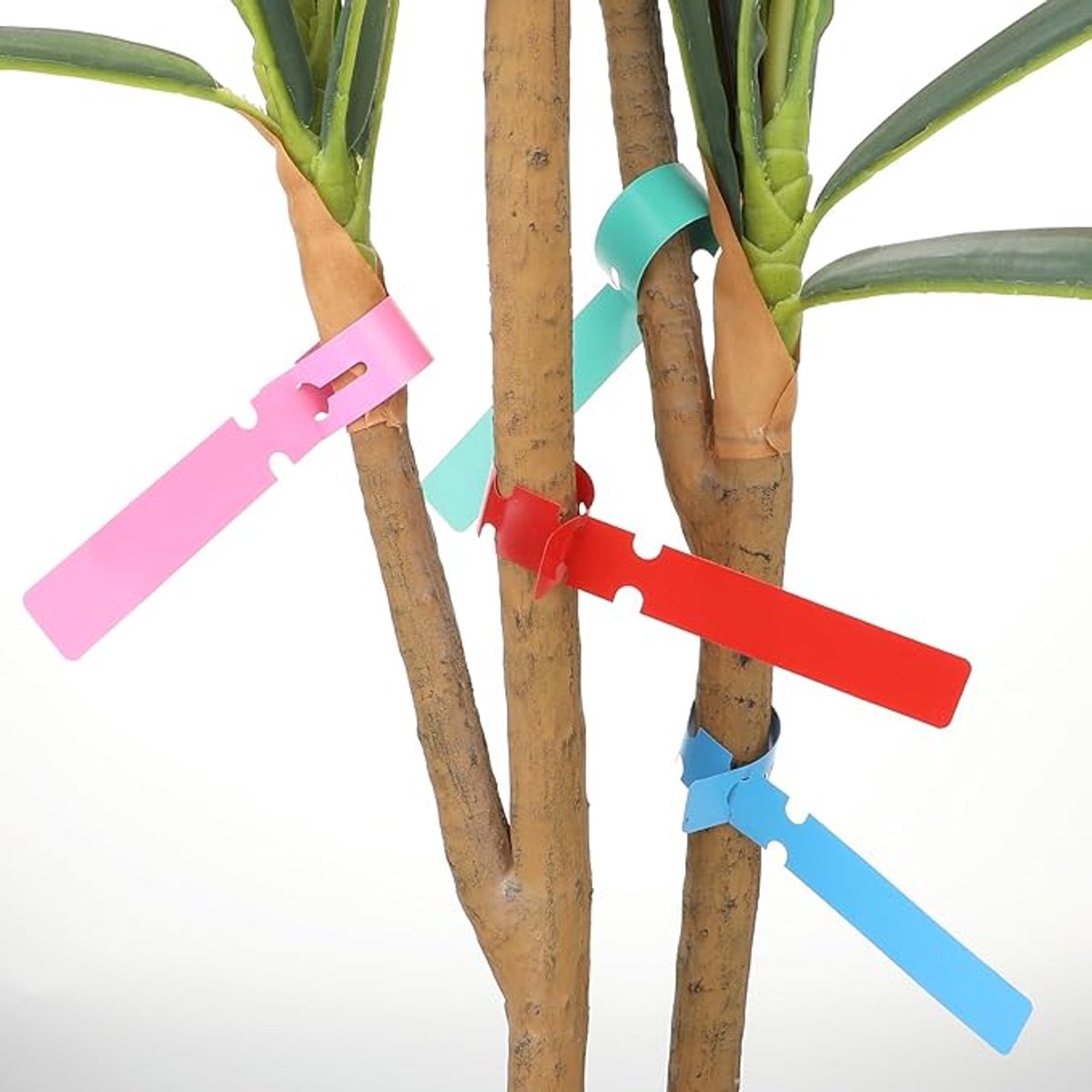 120 Plant Labels - Plastic Tree Labels - 21 x 2 cm - Plant Labels - Garden - Hanging Plant Labels - Five Colors - Suitable for Flower Gardens - Vegetable Gardens - Herb Gardens