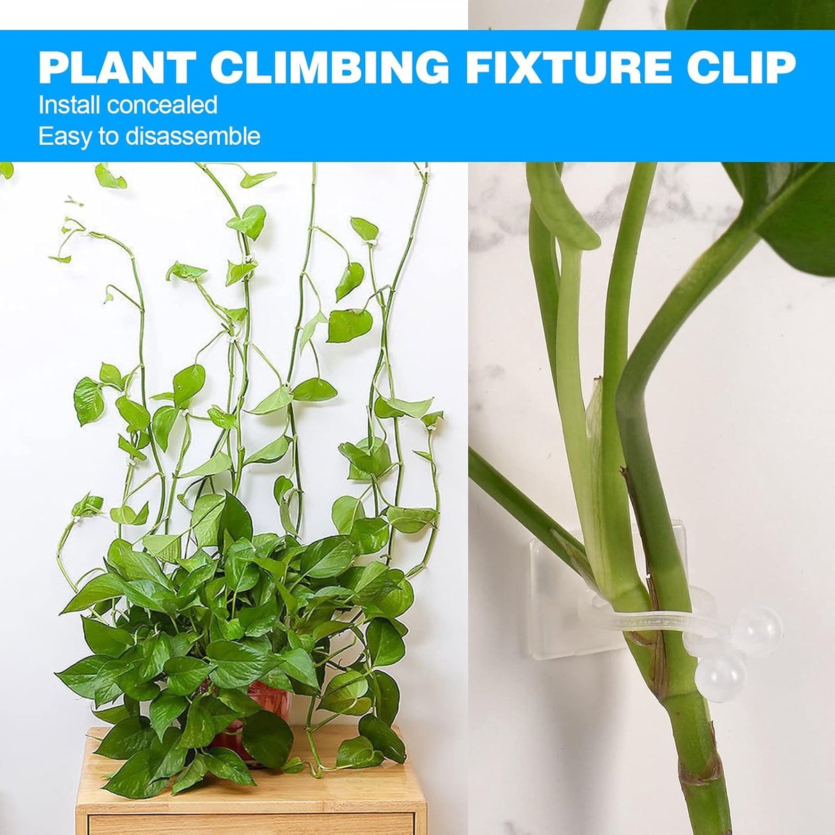 Plant Clips - Plant Clips - Climbing Plant Guide - Tie Up - Plant Support - Garden Clips - Cable Organizer - Wall-Mounted Plant Clips - For Indoor Use - Wall Mounting - Multi-purpose - Reusable - Self-Adhesive - Green/White