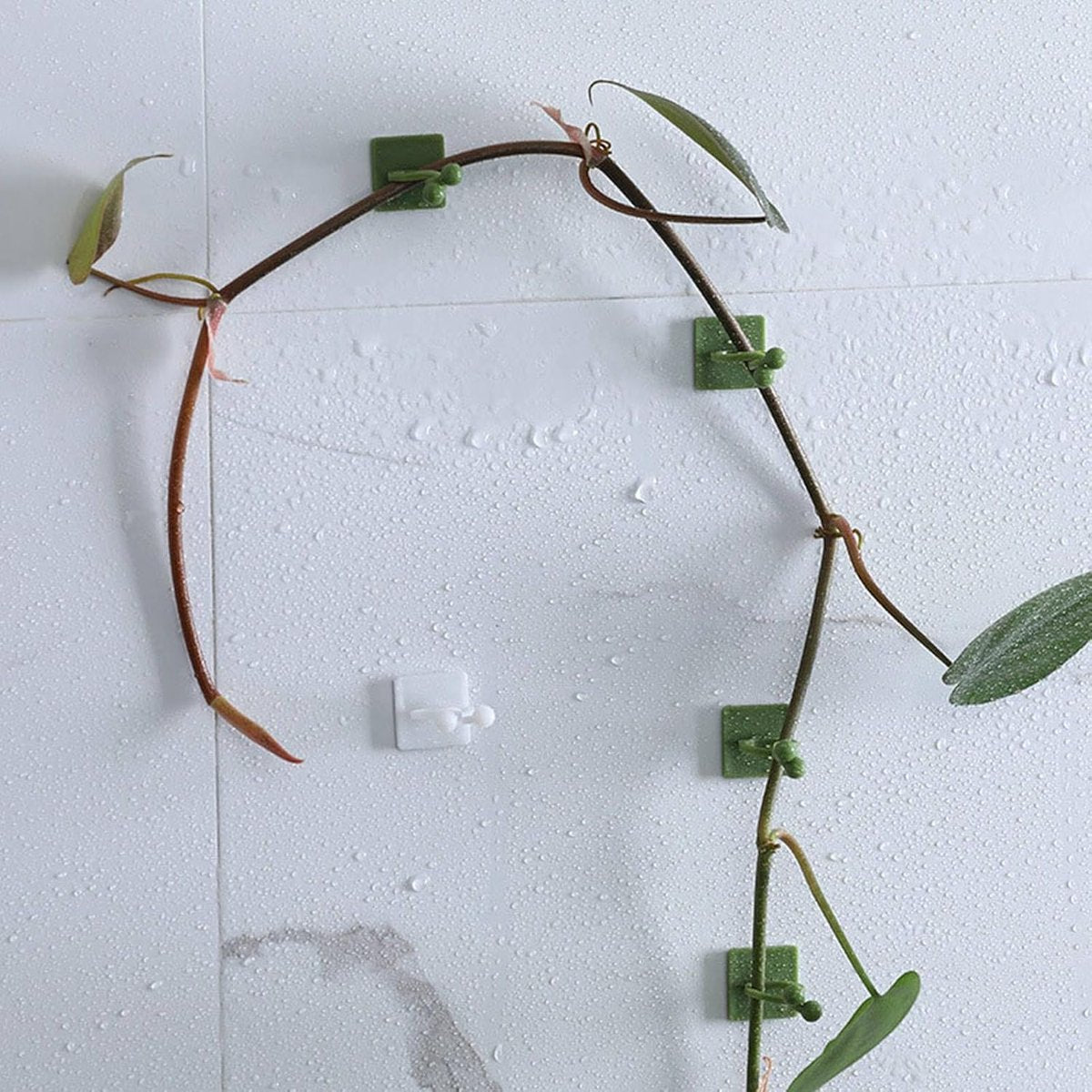 Plant Clips - Plant Clips - Climbing Plant Guide - Tie Up - Plant Support - Garden Clips - Cable Organizer - Wall-Mounted Plant Clips - For Indoor Use - Wall Mounting - Multi-purpose - Reusable - Self-Adhesive - Green/White