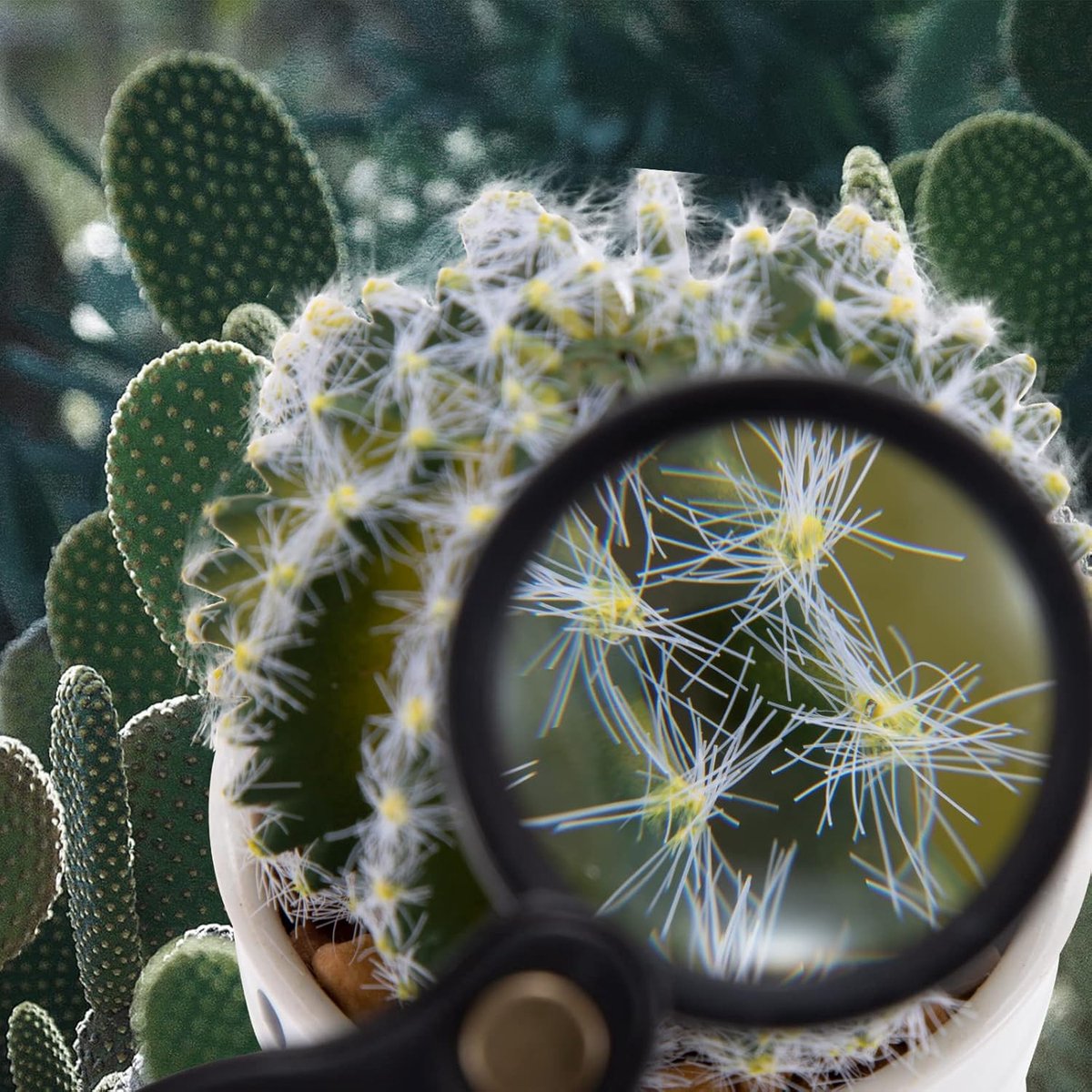 Magnifying Glass - 3 Pieces - 10x Magnification - Pocket Handheld Magnifying Glass - Reading Magnifier - Reading Magnifier - Mini Magnifying Glass - Reading Magnifier - Pocket Magnifying Glass - Reading Magnifier for Seniors and the Visually Impaired - Ma