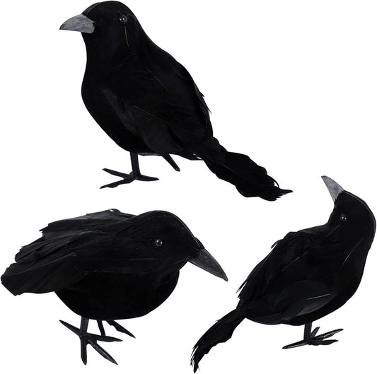 Crow - 3-piece - Halloween - Halloween Decoration - Pigeon Repeller Crow - Scarecrow - Halloween crows - artificial feathered crows - realistic raven birds decorations - party Prop - for indoors / outdoors / festivals / parties / Halloween
