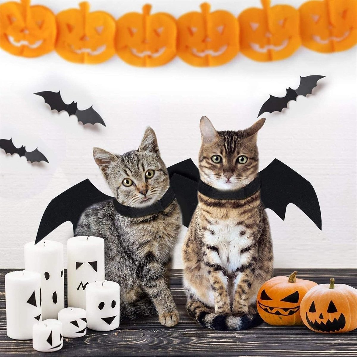 Dog - Cat - Creative Animal Clothing - Dog Costume - Halloween - Christmas - Bat Wings - Cat Clothing - Christmas Clothing - Bat Wings Costume - Black - for Home / Party / Festival / Christmas / Halloween / Christmas